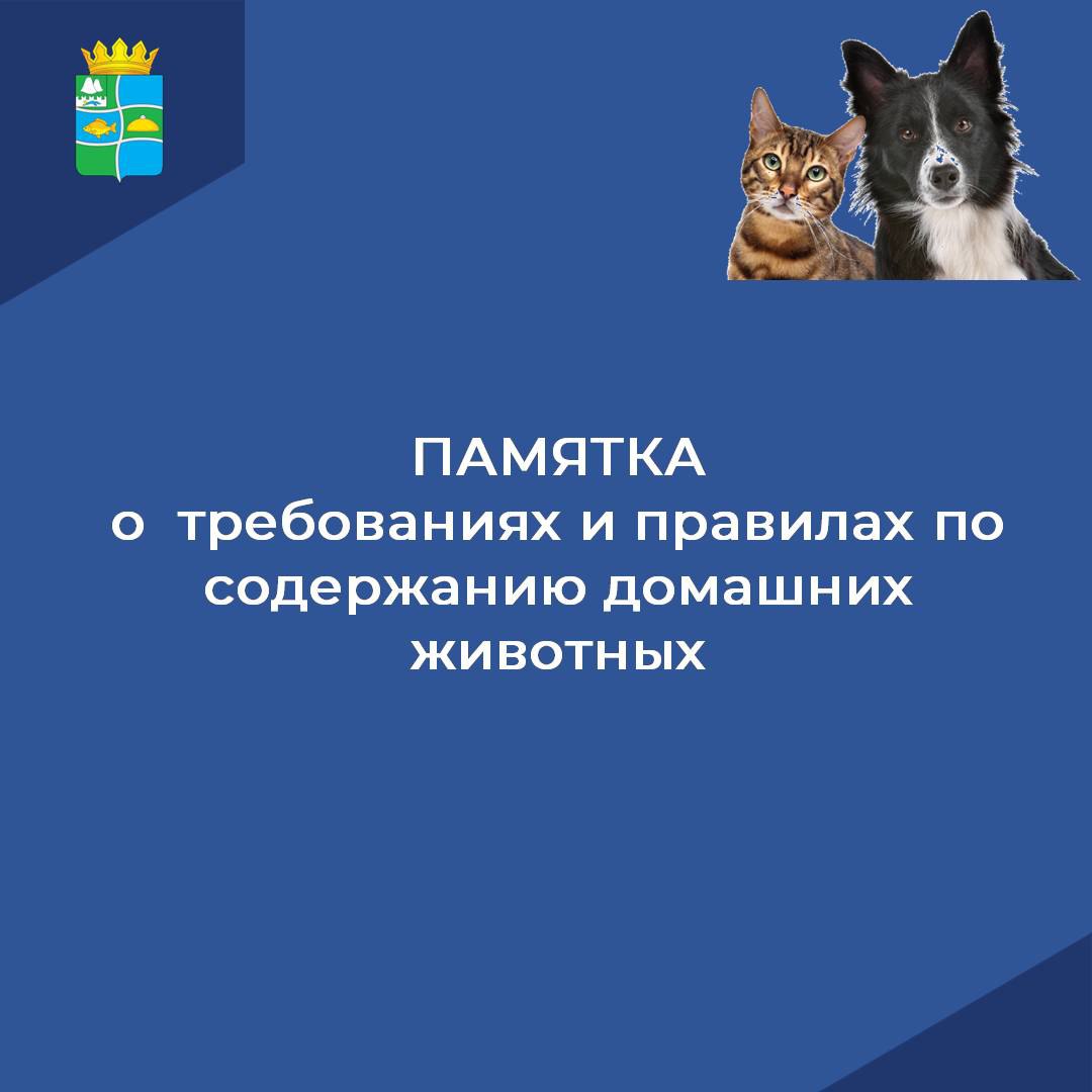 Памятка о требованиях и правилах по содержанию домашних животных.