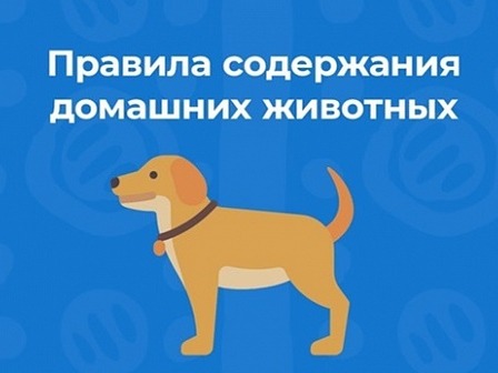 ПАМЯТКА о  требованиях и правилах по содержанию домашних животных.