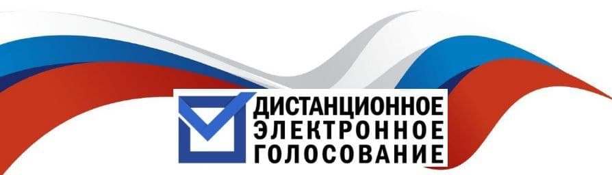 Проголосовать быстро, удобно и не посещая избирательный участок. В Курганской области впервые на сентябрьских выборах будет применяться дистанционное электронное голосование.