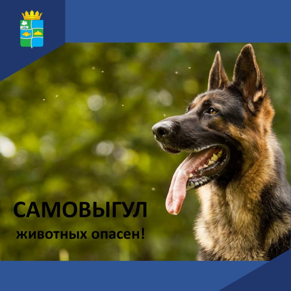 Самовыгул животных опасен!. Самовыгул животных опасен!.