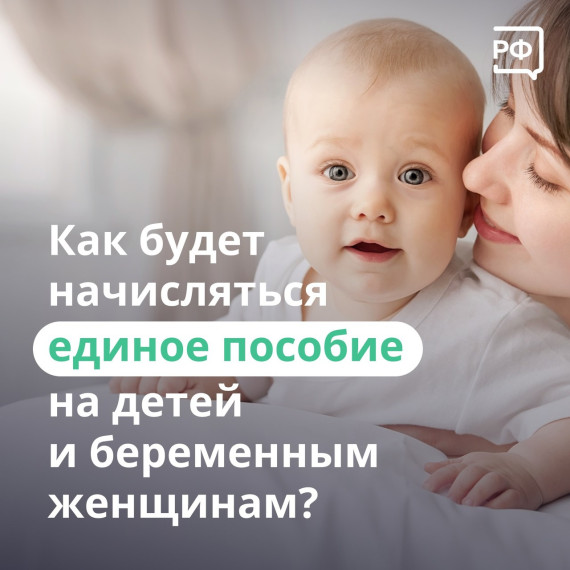 В Социальном фонде рассказали, как будет выплачиваться единое пособие на детей и для беременных.