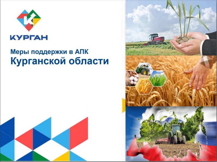 Меры поддержки в АПК Курганской области. Меры поддержки в АПК Курганской области.