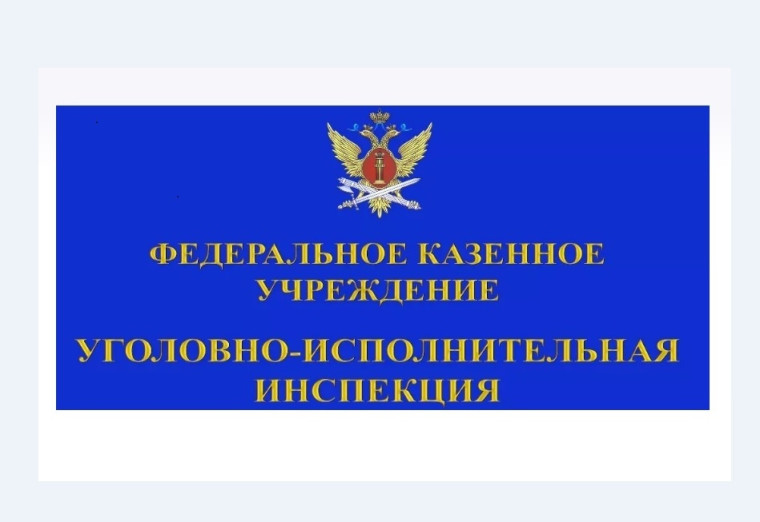 Применение постпенитенциарной пробации. Применение постпенитенциарной пробации.